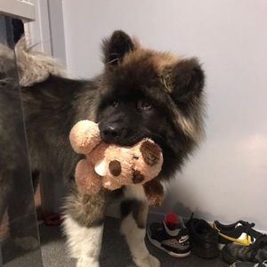 Meet your Posher, Sonia